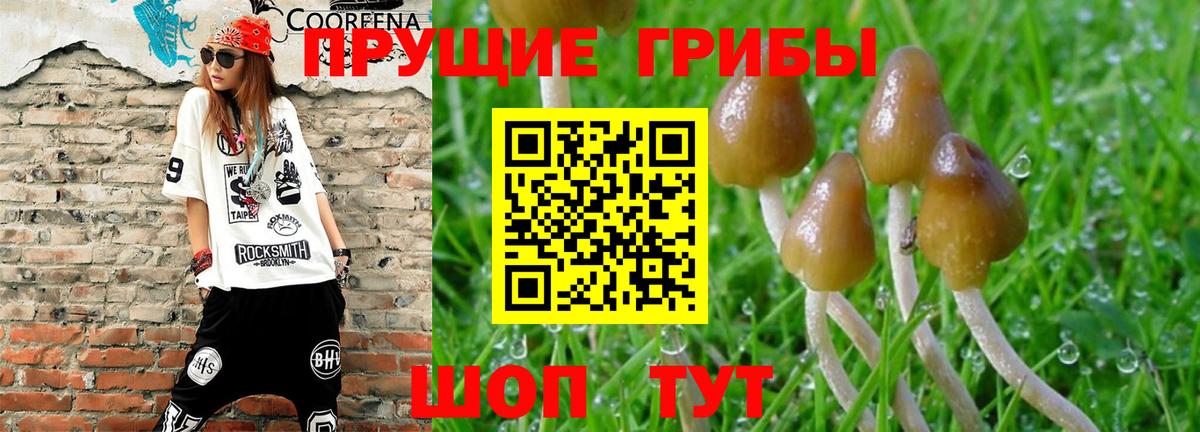 Псилоцибиновые грибы Psilocybine cubensis Гусь-Хрустальный